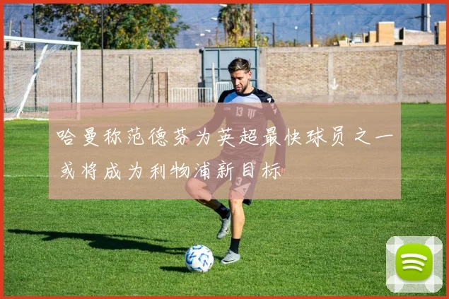 哈曼称范德芬为英超最快球员之一或将成为利物浦新目标