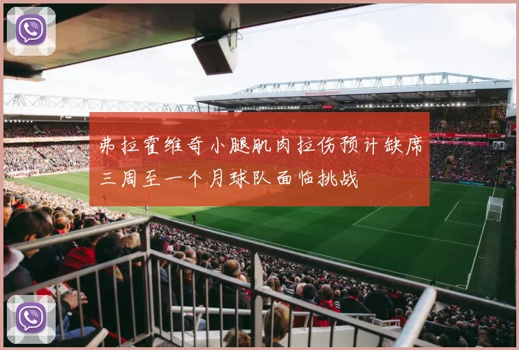 弗拉霍维奇小腿肌肉拉伤预计缺席三周至一个月球队面临挑战